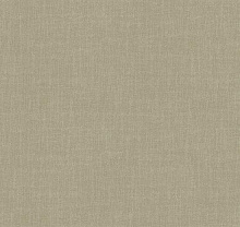Loymina Shade SD2 005/2